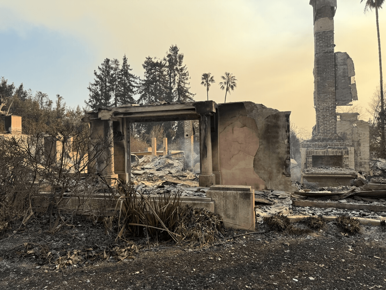 What I Learned About Suffering Standing in the Ashes